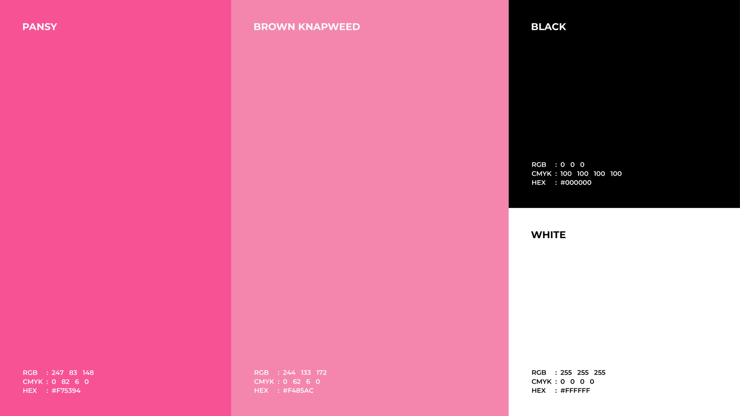 Primary palette — pansy, brown knapweed, black, white