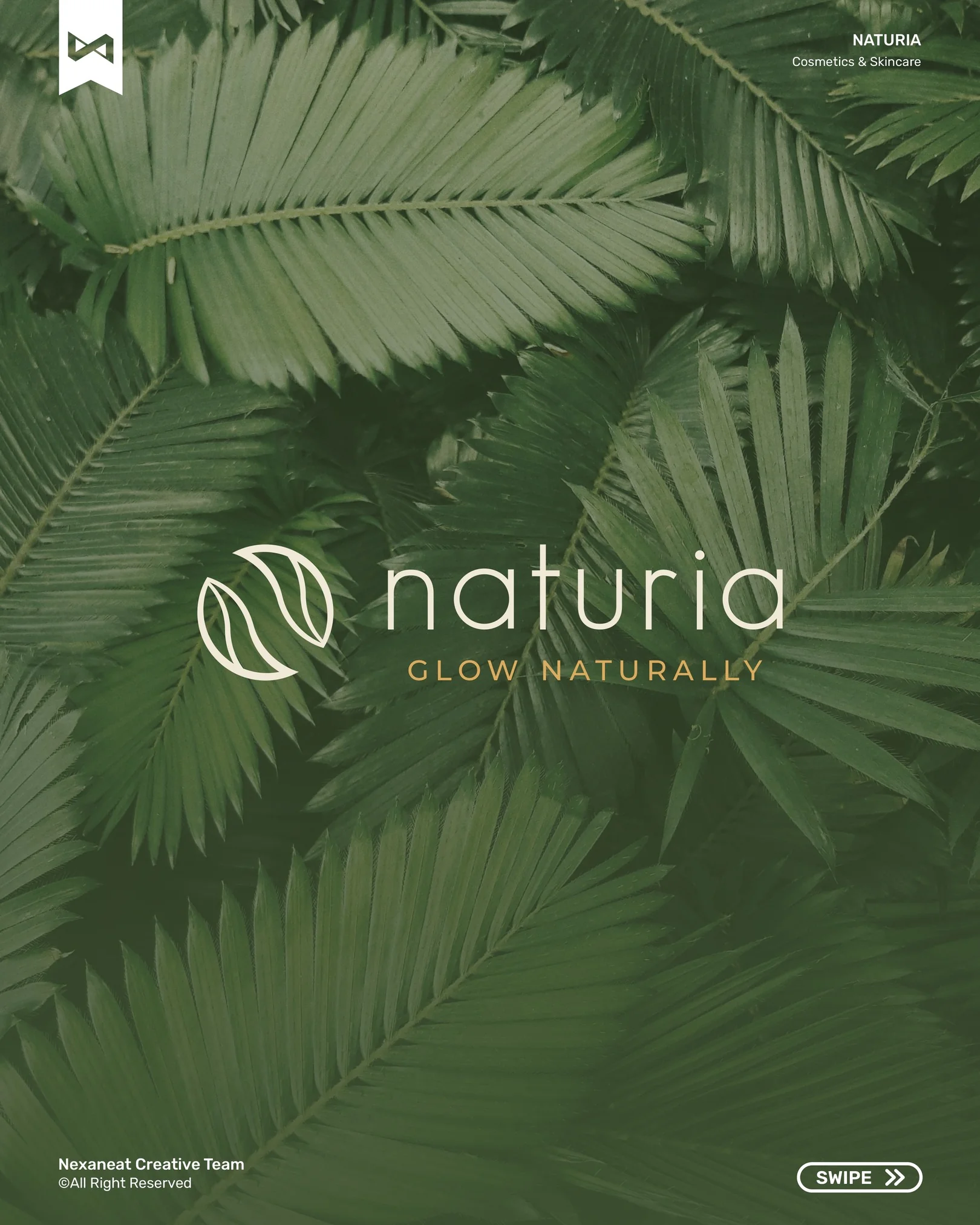 Cover slide — naturia wordmark over palm leaves