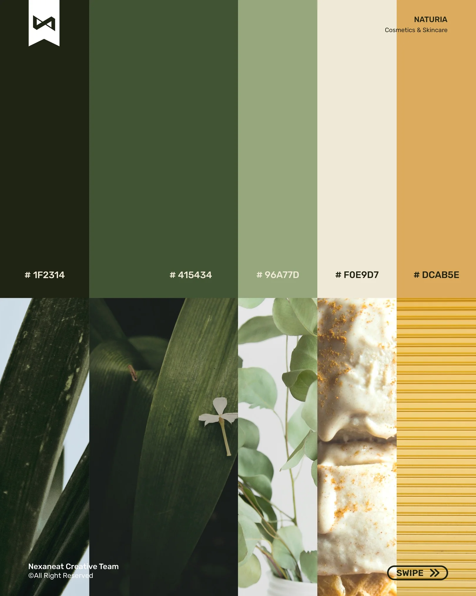 Five-stop palette with hex values