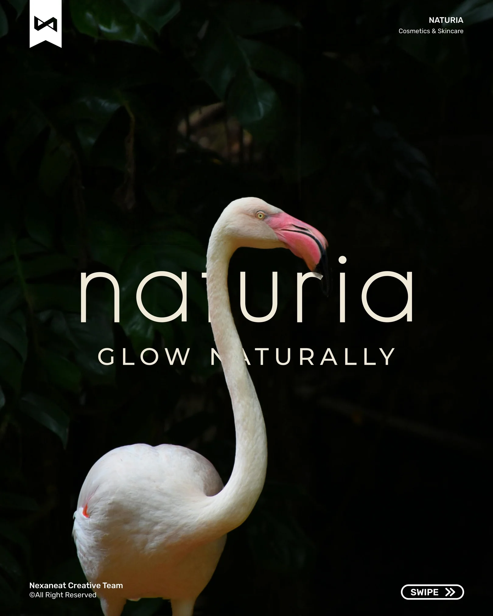 Wordmark dropped over a flamingo portrait — hospitality pairing